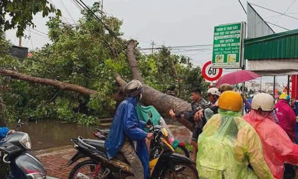Giông lốc tốc mái nhà, quật ngã cây đè người đi đường ở Lâm Đồng, Đăk Lăk