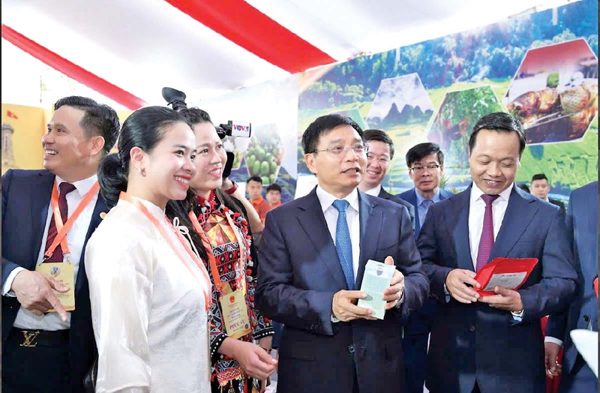 Giữ hồn chè cổ Tủa Chùa