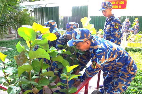 Giữ mầm xanh giữa nắng gió Trường Sa