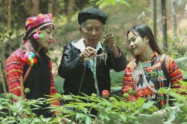 Giữ màu xanh no ấm trên vùng cao Lai Châu