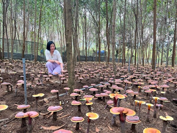 Giữ sinh kế bền vững