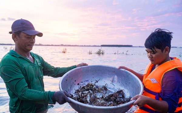 Giữa mùa nước nổi mà lo hạn mặn khốc liệt vì El Nino - 
Bài 1: Chợ cá mùa nước nổi đìu hiu