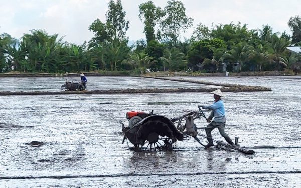 Giữa mùa nước nổi mà lo hạn mặn khốc liệt vì El Nino - Bài 4: Cần kích hoạt kế hoạch phòng chống hạn mặn sớm