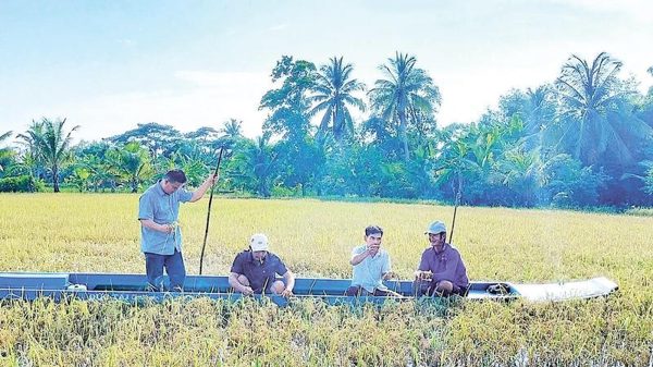 Giúp dân khôi phục sản xuất