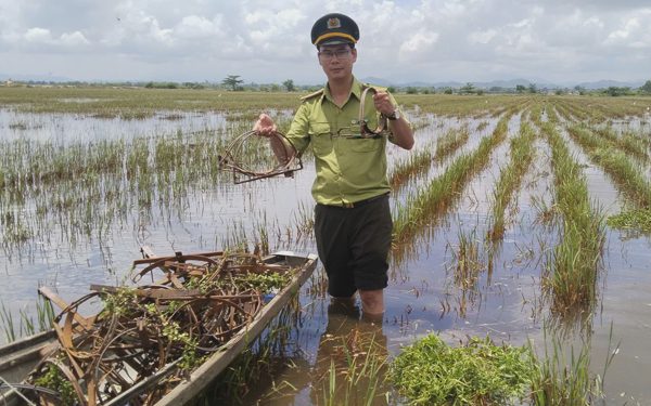 Gỡ 47 bẫy kẹp săn chim, phát hiện nguy cơ rình rập người đi đồng