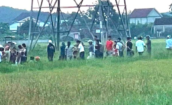 Gỡ dây vướng máy gặt, người đàn ông bị điện 35kV phóng tử vong ở Nghệ An