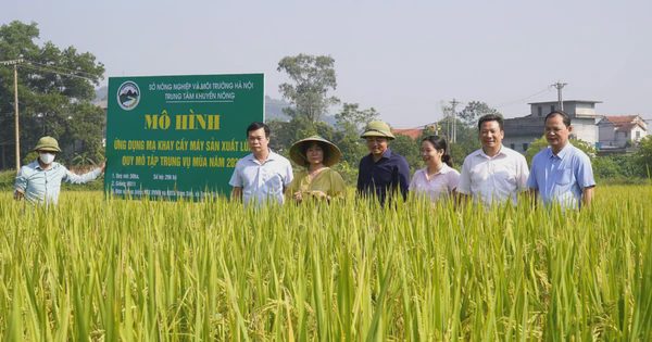 Gỡ ‘nút thắt’ để phát triển nông nghiệp công nghệ cao