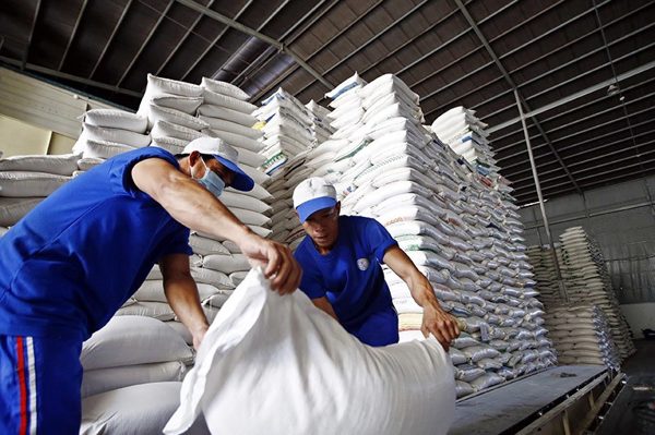 Gỡ rào cản xuất khẩu gạo, doanh nghiệp nhỏ có thêm cơ hội