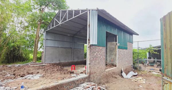 Hà Nội: 740 trường hợp vi phạm đất đai được phát hiện tại một xã