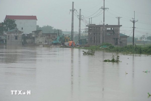 Hà Nội bác tin đồn vỡ đê tả Bùi, khẩn trương gia cố điểm chống tràn