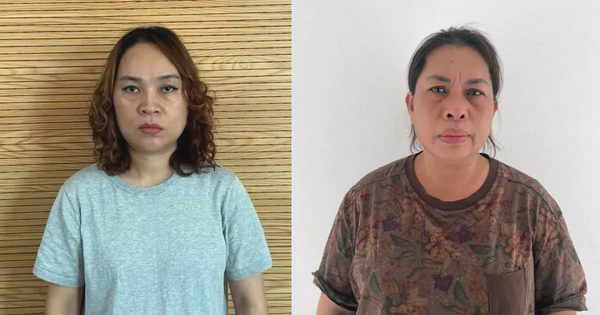 Hà Nội: Bắt 2 đối tượng lừa đảo mua nhà dự án CT3 Kim Chung