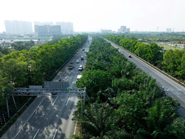 Hà Nội cấm trồng cây trứng cá, cao su, bồ kết và 15 loại cây khác tại nơi công cộng