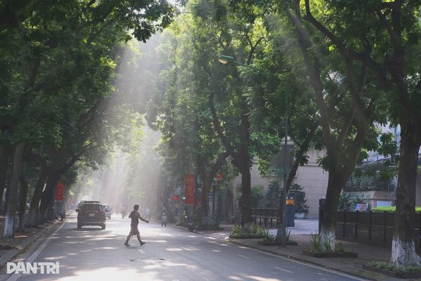 Hà Nội đặt mục tiêu đến năm 2030 mỗi người dân có hơn 10m2 cây xanh