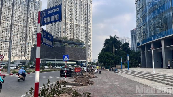 Hà Nội: Di dời cây xanh, xén vỉa hè làm hầm chui hơn 960 tỷ đồng