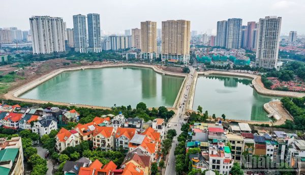 Hà Nội: Dịch chuyển cây xanh đường Trung Thư phục vụ thi công hồ điều hòa