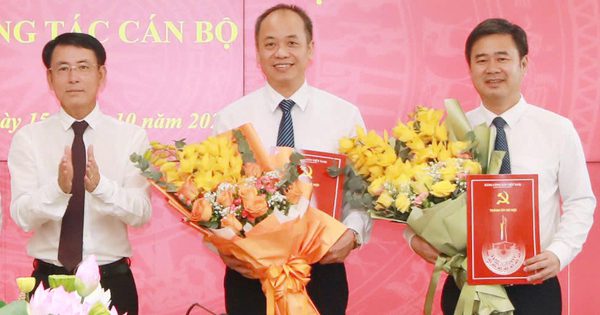 Hà Nội điều động bí thư, chủ tịch xã Kim Anh về Văn phòng Thành ủy