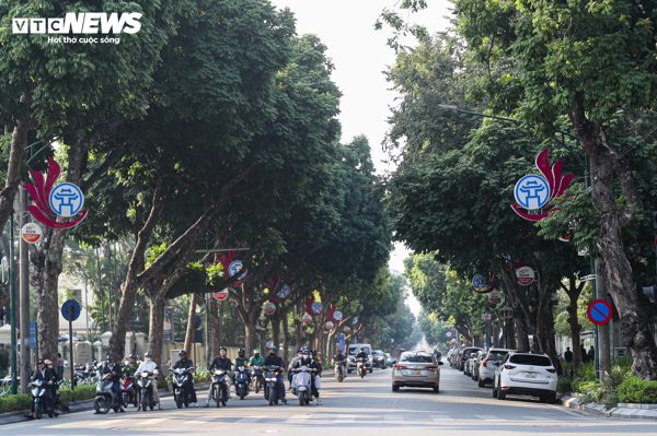 Hà Nội định hướng mỗi tuyến phố trồng một loài cây đặc trưng