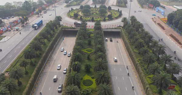Hà Nội dự kiến trồng cây phủ xanh trụ đường sắt, cầu vượt và hầm chui