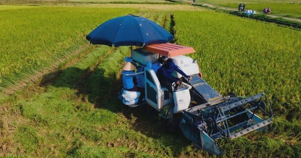 Hà Nội lập kế hoạch phát triển kinh tế tập thể, hợp tác xã năm 2027