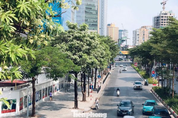 Hà Nội lý giải về đề án quản lý phát triển cây xanh, vườn hoa