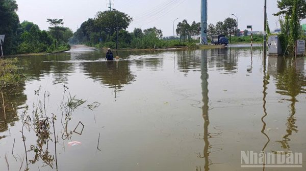 Hà Nội: Người dân mở dịch vụ hỗ trợ kéo xe qua đoạn đường ngập sâu ở Hữu Bằng