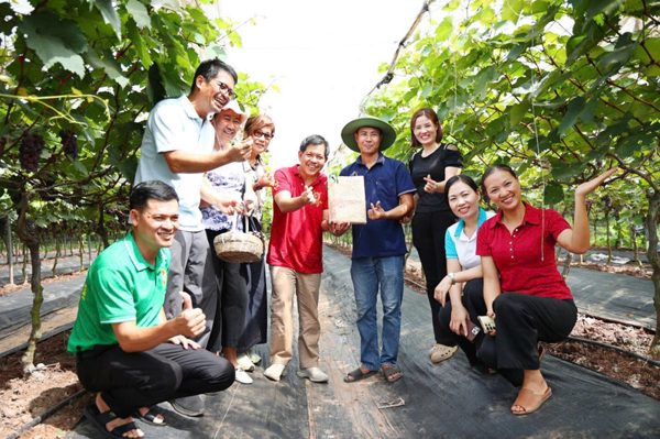 Hà Nội nhân rộng mô hình nông nghiệp xanh gắn với bảo vệ môi trường