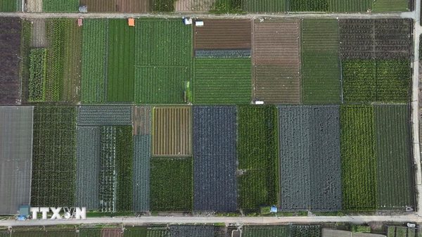 Hà Nội phấn đấu thành lập mới ít nhất 150 hợp tác xã, liên hiệp hợp tác xã vào năm 2027