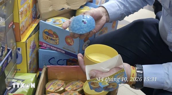 Hà Nội: Tạm giữ hơn 1.200 sản phẩm đồ chơi trẻ em nhập lậu tại phố Đồng Xuân