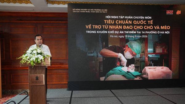 Hà Nội tập huấn tiêu chuẩn quốc tế về trợ tử nhân đạo cho chó, mèo