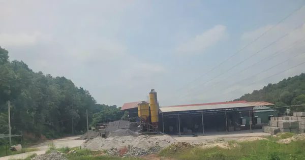 Hà Nội tháo dỡ hàng loạt nhà gỗ, nhà dạng container trên đất rừng
