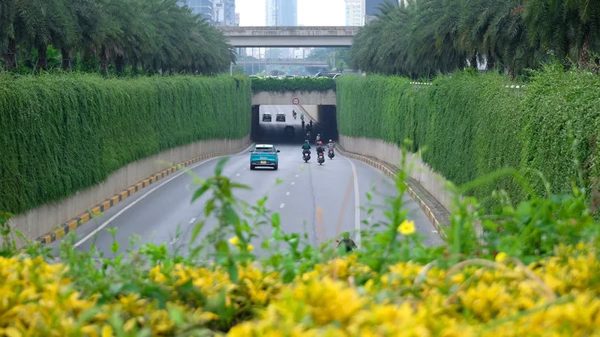 Hà Nội thí điểm phủ xanh trụ cầu đường sắt, hầm chui và nhà chờ xe buýt
