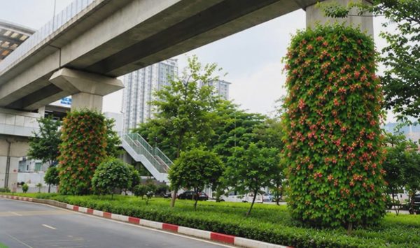 Hà Nội thí điểm phủ xanh trụ cầu, hầm chui