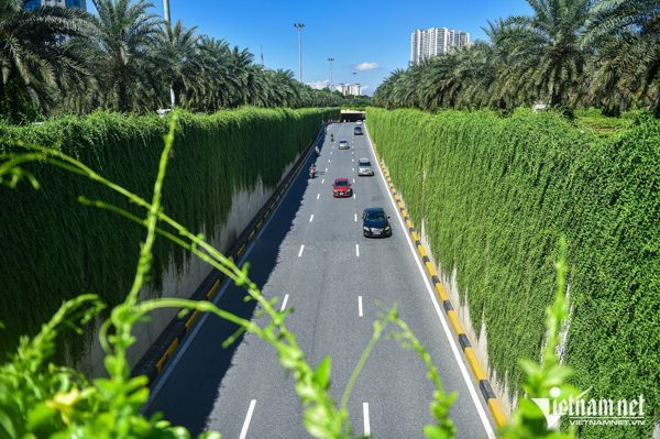 Hà Nội thí điểm phủ xanh trụ đường sắt, hầm chui, cầu vượt