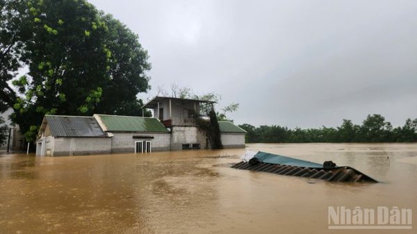 Hà Nội: Xã Quảng Bị ứng phó lũ lớn trên sông Bùi