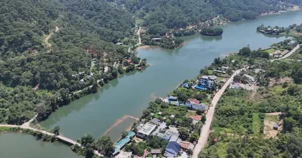 Hà Nội xin ý kiến điều chỉnh diện tích hơn 7.000ha khỏi quy hoạch rừng, đất lâm nghiệp