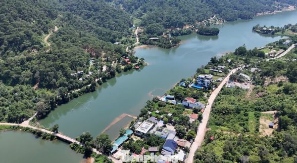 Hà Nội xin ý kiến điều chỉnh diện tích hơn 7.000ha khỏi quy hoạch rừng, đất lâm nghiệp