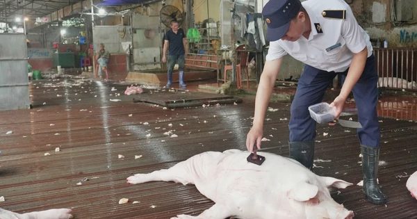 Hà Nội xóa điểm giết mổ nhỏ lẻ, ‘bước ngoặt’ xây dựng chuỗi thực phẩm an toàn