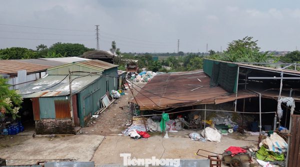 Hà Nội xử lý hàng trăm trường hợp vi phạm trên đất nông nghiệp