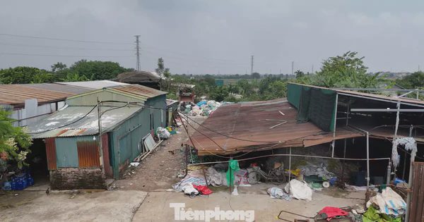 Hà Nội xử lý hàng trăm trường hợp vi phạm trên đất nông nghiệp