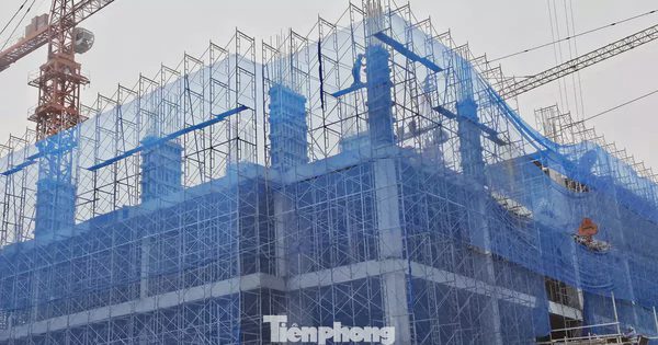 Hà Nội yêu cầu xác minh các trường hợp nghi vi phạm khi mua nhà ở xã hội