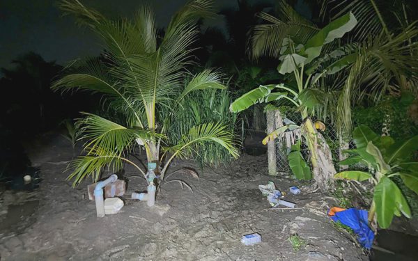 Hai anh em ruột đi tưới dừa chết gần hàng rào lưới B40 nghi do điện giật