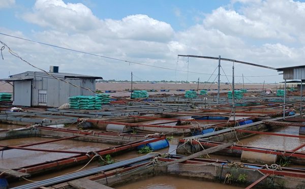 Hai cha con bị điện giật rơi xuống sông mất tích
