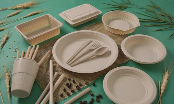 Hai doanh nghiệp công nghệ Việt vào top tiềm năng châu Á