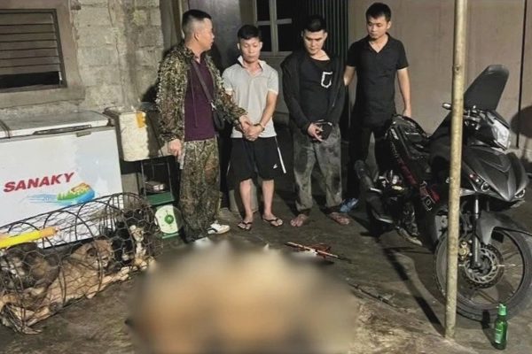 Hai người dùng súng tự chế trộm 9 con chó trong một đêm