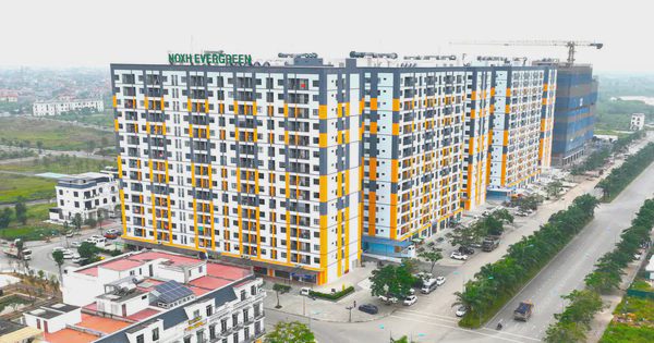 Hải Phòng đẩy mạnh phát triển nhà ở, nâng cao chất lượng sống người dân