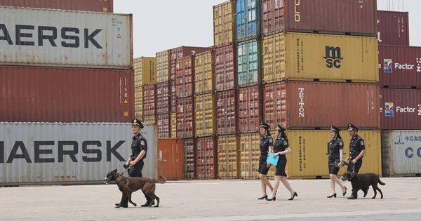 Hải quan khu vực II cảnh báo những rủi ro trong xuất nhập khẩu tiền chất