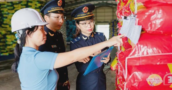Hải quan sau tinh gọn bộ máy: Tối ưu chất lượng phục vụ người dân, doanh nghiệp