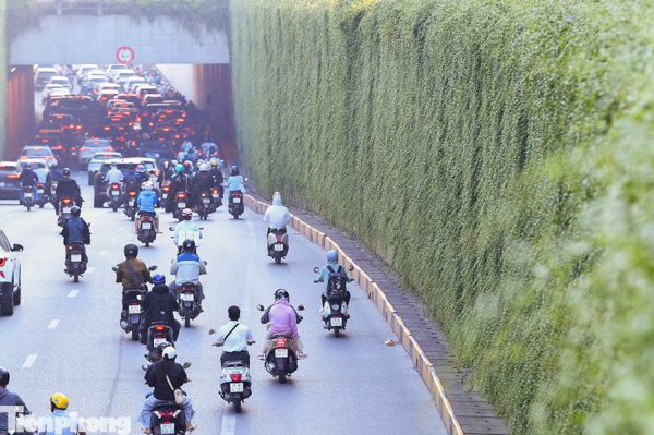 Hầm chui, trụ cầu ở Hà Nội trước ngày được cây lá phủ xanh