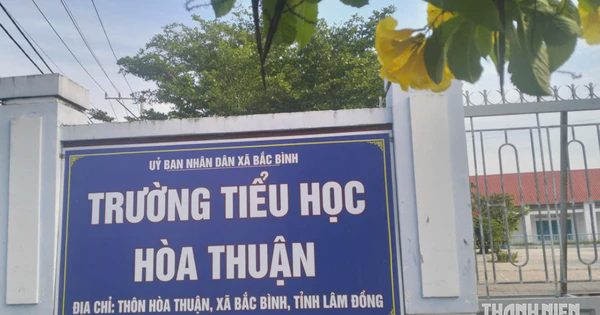 Hạn chế ghép tên hai trường cũ thành tên mới khi sáp nhập trường