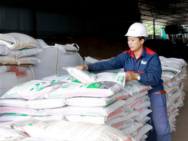 Hàn Quốc, Philippines tăng mua giá cao, xuất khẩu phân bón sắp lập kỷ lục